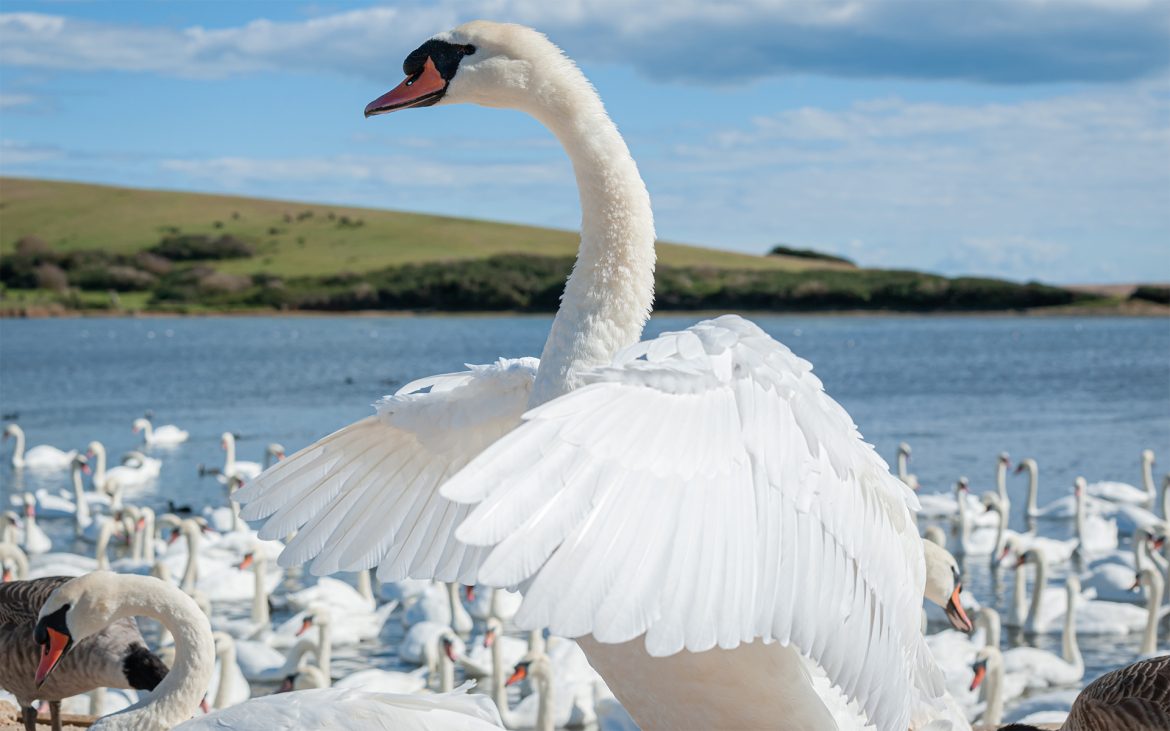AdobeStock_375695273.jpg